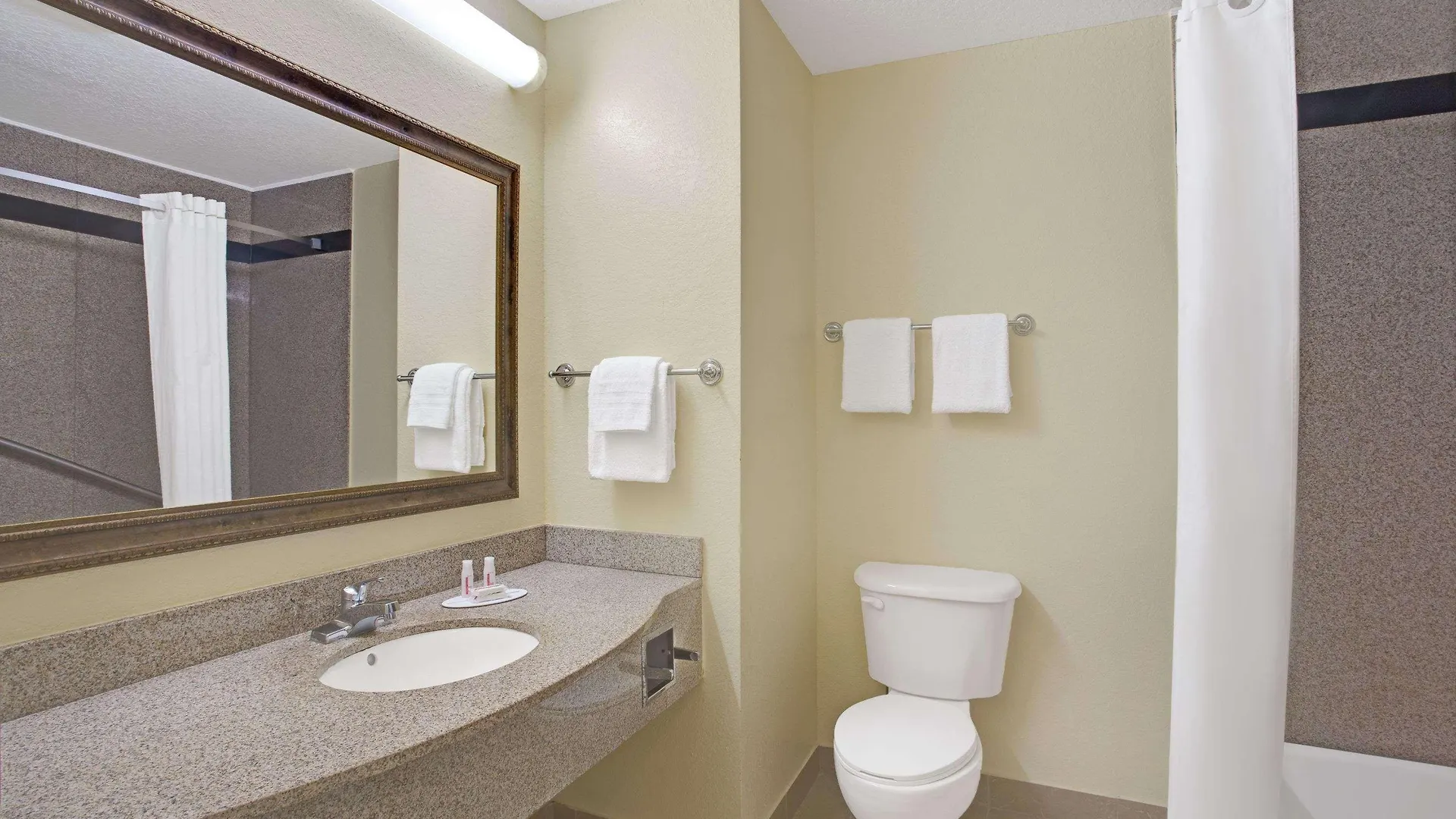Super 8 By Wyndham Daytona Beach United States